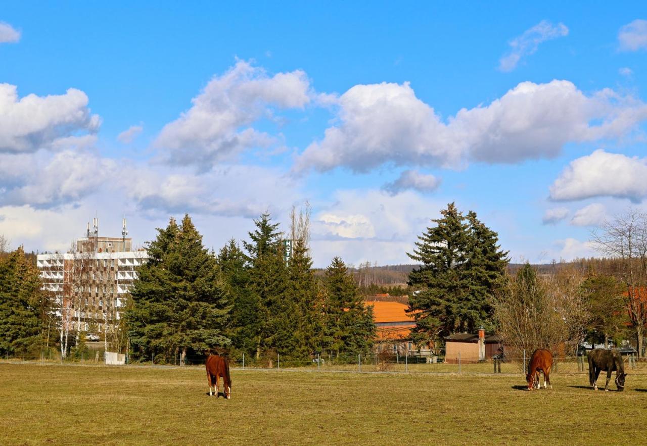 Carea Harz Hotel Allrode Exteriér fotografie